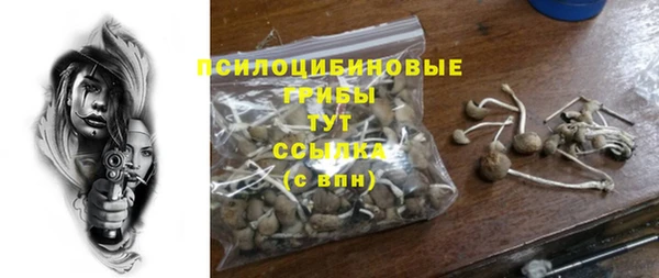синтетический гашиш Козловка