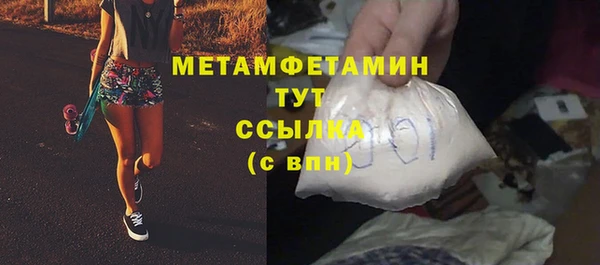 шишки Кодинск