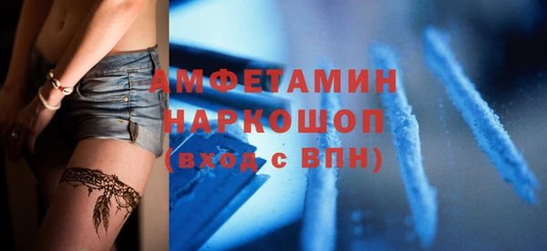 шишки Кодинск