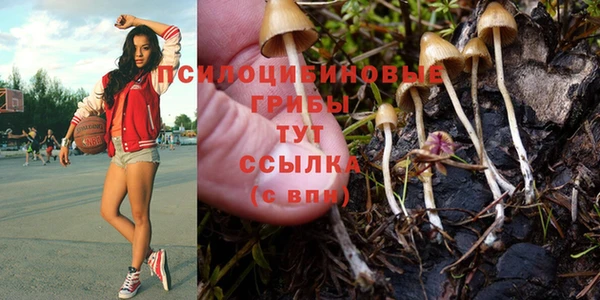 спайс Козельск