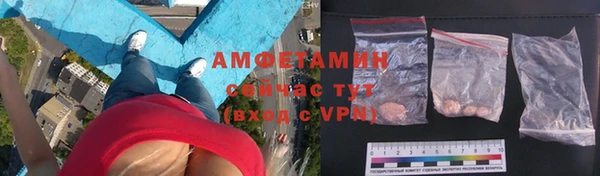 шишки Кодинск