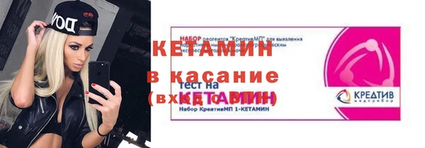 шишки Кодинск