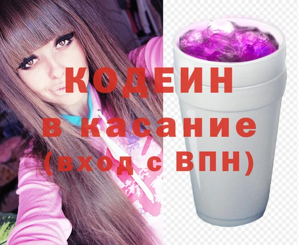 шишки Кодинск