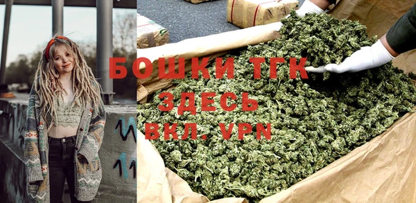 шишки Кодинск