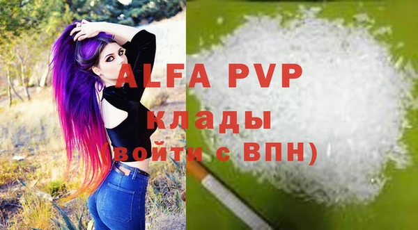 шишки Кодинск