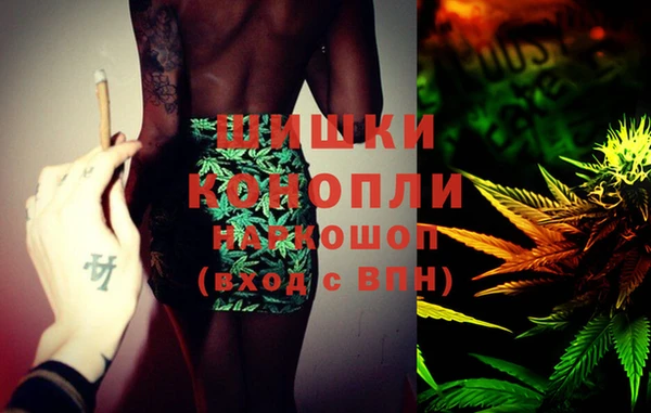 шишки Кодинск